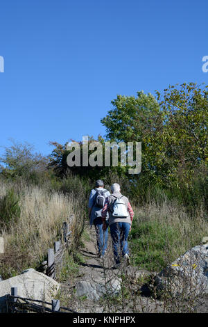 Senioren wandern in Berg, Puy-de-Dome, Auvergne, Frankreich Stockfoto