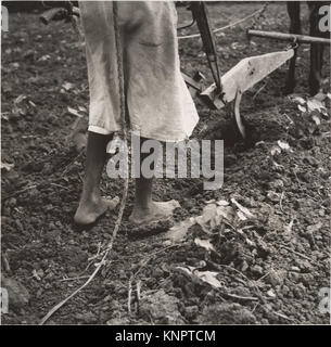 Alabama Pflug Mädchen, in der Nähe von Eutaw, Alabama MET DP 212790 284645 Stockfoto