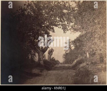 Dieses Foto „Fontainebleau, chemin sablonneux montant“ wurde von Gustave Le Gray um 1856 aufgenommen. Es zeigt einen sandigen, aufwärts gerichteten Pfad im Wald von Fontainebleau, eingerahmt von Bäumen. Das Bild ist ein silberner Albumenabdruck von einem Glasnegativ, charakteristisch für die französische Fotografie Mitte des 19. Jahrhunderts. Stockfoto