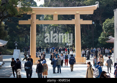 Das Torii (Schrein Torbogen) am Meiji Jingu-Schrein in Tokio Stockfoto