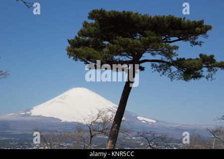 Die buddhistischen Tempel in einem Frieden Garten am Stadtrand von Gotenba mit Blick auf den Berg Fuji gelegen Stockfoto