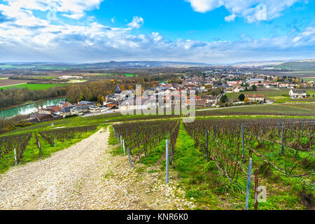 Champagne Weinberge im Dorf Mareuil sur Ay, Epernay, Marne, Champagne, Frankreich Stockfoto