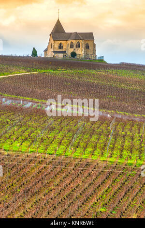 Weinberge und Chavot Courcourt Kirche in Champagne, Epernay, Frankreich Stockfoto