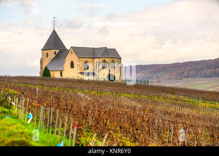 Weinberge und Chavot Courcourt Kirche in Champagne, Epernay, Frankreich Stockfoto