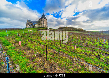 Weinberge und Chavot Courcourt Kirche in Champagne, Epernay, Frankreich Stockfoto