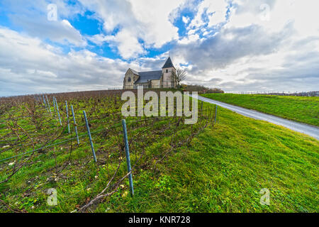 Weinberge und Chavot Courcourt Kirche in Champagne, Epernay, Frankreich Stockfoto