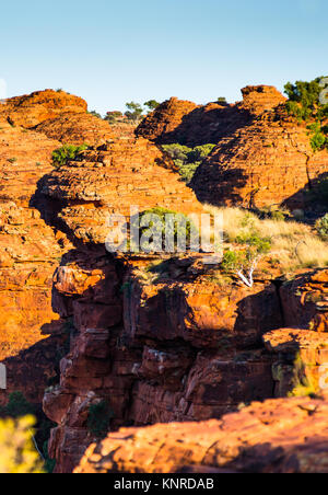 Watarrka (Kings Canyon) National Park, Northern Territory, Australien. Stockfoto