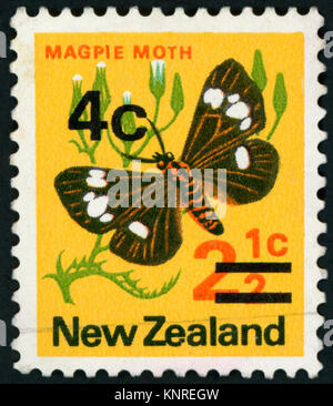 Neuseeland - circa 1970: einen Stempel in Neuseeland gedruckt zeigt Magpie Motte (Eurrhypara hortulata), circa 1970 Stockfoto