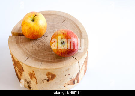 Zwei Reife gelb-rote Äpfel liegen auf Holz- stumpf auf weißem Hintergrund mit kopieren. Stockfoto