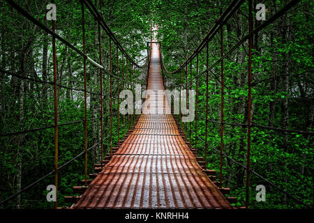 Suspension Bridge Stockfoto