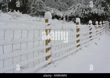 Kabel Lager Zaun mit Holz- Beiträge am Hang in Schnee nach einer sehr schweren Winter die doward South herefordshire England Großbritannien Sturm Stockfoto