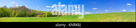Schöner Frühling ländliche Landschaft mit Feld und blauer Himmel, ein Panorama. landwirtschaftlichen Bereich Landwirtschaft Panorama Panoramablick. Stockfoto