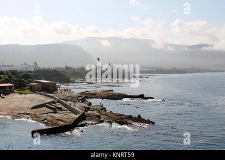 Die ocean view in Hermanus, Südafrika Stockfoto