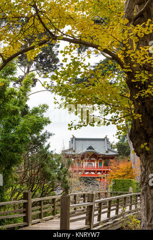 Blick auf herkömmlichen japanischen Tempel von Goldener Herbst (Herbst) Laub von Gingko biloba gerahmt, die MAIDENHAIR tree. Holzbrücke (der lange Brid Stockfoto