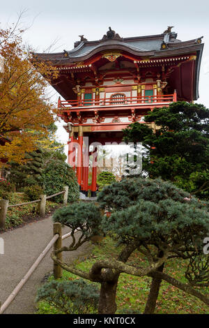 Japanischen Tempel Torbogen mit Bahn mit Bambus Schienen. Cloud-beschnitten Kiefer in den Vordergrund und Japanischer Ahorn (Acer palmatum sp.) und Herbst (Herbst Stockfoto