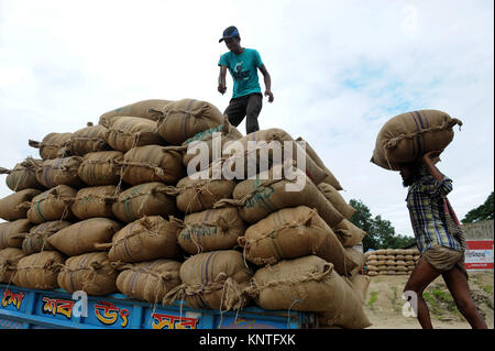 BRAHMANBARIA, BANGLADESCH - Juni 10, 2016: Ein Bangladeshi Arbeiter trägt Tasche von Paddy in einem schwimmenden Markt in Brahmanbaria, Bangladesch. Stockfoto