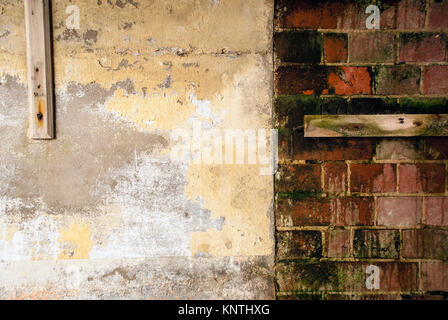 Close up abstraktes Bild der Teil eines alten, schäbigen und feuchte Ziegelwand in einem alten viktorianischen fort an der Küste. Stockfoto