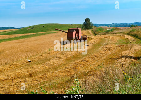 Landwirtschaftliche Arbeiten, die Ernte auf dem Feld, Traktor arbeitet im Feld Stockfoto