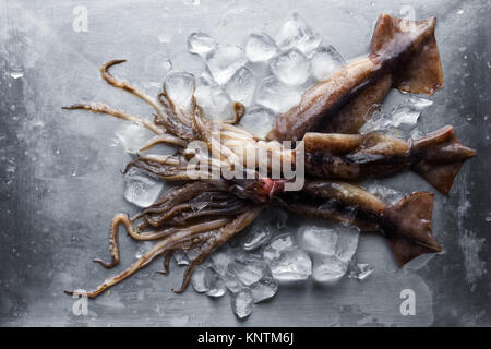 Rohen Tintenfisch mit Eiswürfel auf Stahlplatte Stockfoto
