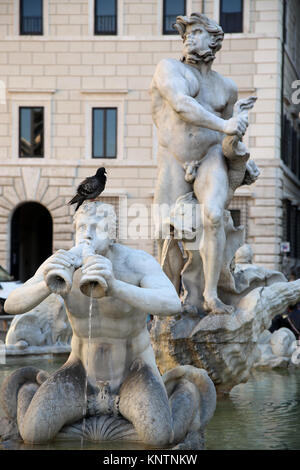 Tauben sitzen auf einer Skulptur Marmor Triton, Fontana del Moro in der Piazza Navona Stockfoto