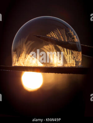 Zarte gefroren Seifenblase in der Dämmerung, Sonnenaufgang, Jack Frost, Eis, kalt, eiskalt Stockfoto