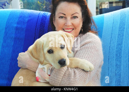 Reife weibliche Kuscheln einen jungen Labrador Welpe auf dem Schoß - Johannes Gollop Stockfoto