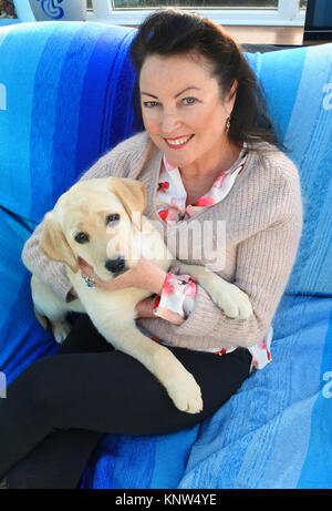 Reife weibliche Kuscheln einen jungen Labrador Welpe auf dem Schoß - Johannes Gollop Stockfoto