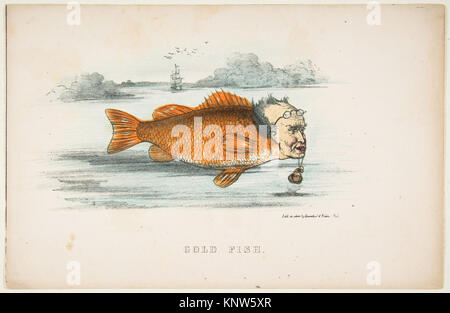 Gold Fish (Francis M. Drexel), aus dem Comic natürliche Geschichte der menschlichen Rasse MET DP 813089 395471 Stockfoto