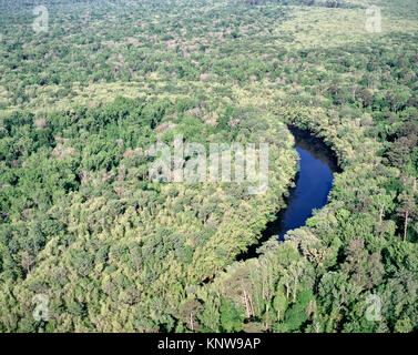 Luftaufnahme von Weston See im Frühling. Weston See ist ein altarm in Congaree National Park in South Carolina. Stockfoto