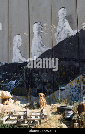 Hund wachen Wall Art auf der Trennungsmauer in den Aida Refugee Camp, Bethlehem, West Bank, Palästina Stockfoto