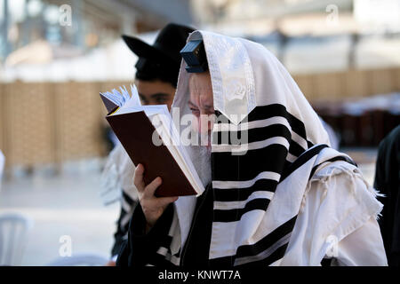 Ein alter orthodoxer Jude liest eine Thora an der westlichen Mauer im Zentrum von Jerusalem, Israel Stockfoto