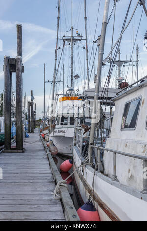 Kommerzielle Fischereifahrzeuge sind in bis an einem Sommerabend am Fisherman's Wharf in Port Hardy auf Vancouver Island, British Columbia gebunden. Stockfoto