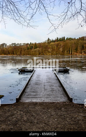 Winter Szene, bolam Lake Country Park, Northumberland, Großbritannien Stockfoto