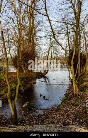 Winter Szene, bolam Lake Country Park, Northumberland, Großbritannien Stockfoto