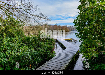 Winter Szene, bolam Lake Country Park, Northumberland, Großbritannien Stockfoto