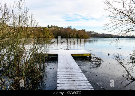 Winter Szene, bolam Lake Country Park, Northumberland, Großbritannien Stockfoto