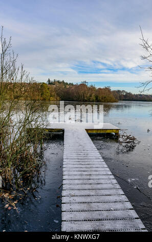 Winter Szene, bolam Lake Country Park, Northumberland, Großbritannien Stockfoto