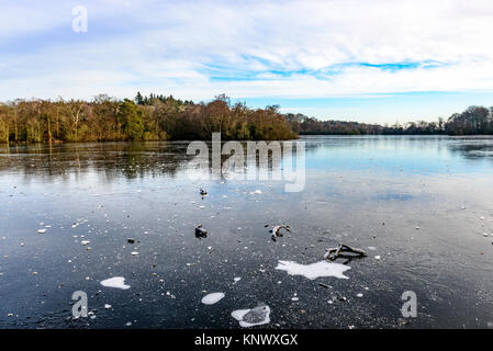 Winter Szene, bolam Lake Country Park, Northumberland, Großbritannien Stockfoto