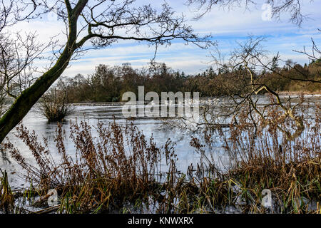 Winter Szene, bolam Lake Country Park, Northumberland, Großbritannien Stockfoto