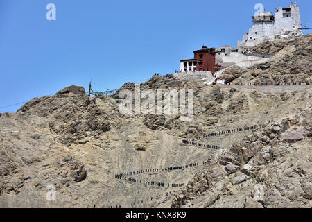 Buddhistisches Kloster und Namgyal Tsemo Festung auf einem Berg über der Stadt von Leh, der Hauptstadt von Ladakh, Indien. Stockfoto