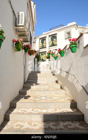 Blumen auf grünem Töpfe an der Wand an der Treppe in der Weißen Gasse des Dorfes Estepona, einer Stadt der Provinz Malaga, Spanien. Stockfoto