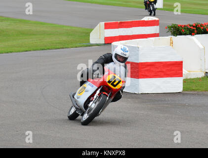 Goodwood Revival 2013, Barry Sheene Memorial Trophy, Mick Grant, Gary Johnson MV Agusta 500/3. Stockfoto