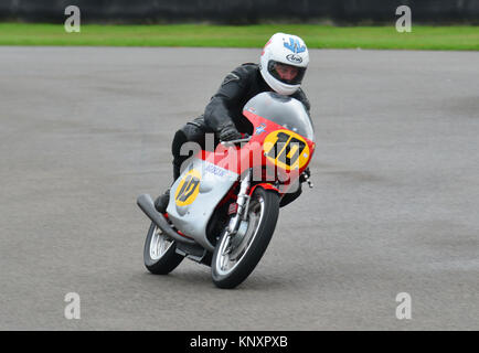 Mick Grant, Gary Johnson MV Agusta 500/3. Goodwood Revival 2013, Barry Sheene Memorial Trophy Stockfoto