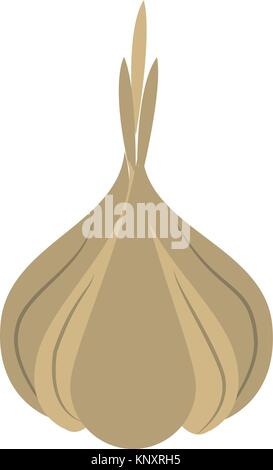 Knoblauch Bio Lebensmittel Symbol Vektor illustration Graphic Design Stock Vektor