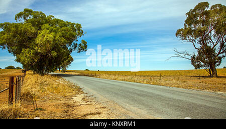 Bei Narrandera Outback New South Wales Australien Stockfoto