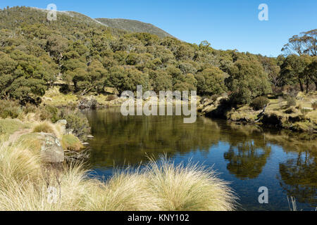 Forellen Angler am Ufer des Flusses in Thredbo Thredbo Diggings in Kosciuszko National Park in den Snowy Mountains im Süden von New South Wales. Stockfoto