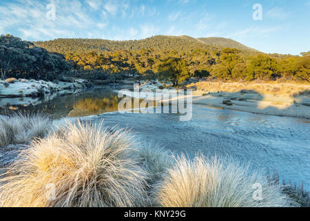 Frostigen morgen im Thredbo River im Thredbo Diggings in Kosciuszko National Park in den Snowy Mountains im Süden von New South Wales, Australien Stockfoto