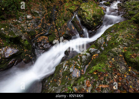 Herbst Wasserfall in Bruzella Mühle, Muggiotal, Mendrisio Bezirk, Kanton Tessin, Schweiz. Stockfoto