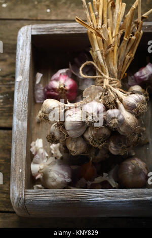 Knoblauch Ernten in der Kiste, Lebensmittel Nahaufnahme Stockfoto