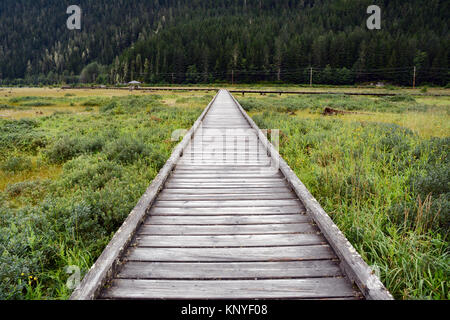 Einen Holzsteg und Wanderweg über der Mündung des Bear River in Stewart, British Columbia, Kanada - an der Grenze mit Hyder, Alaska. Stockfoto